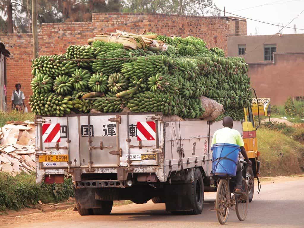 A Truck Transporting Banana In Uganda