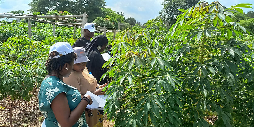 Some of the participants during a practical session on the field.