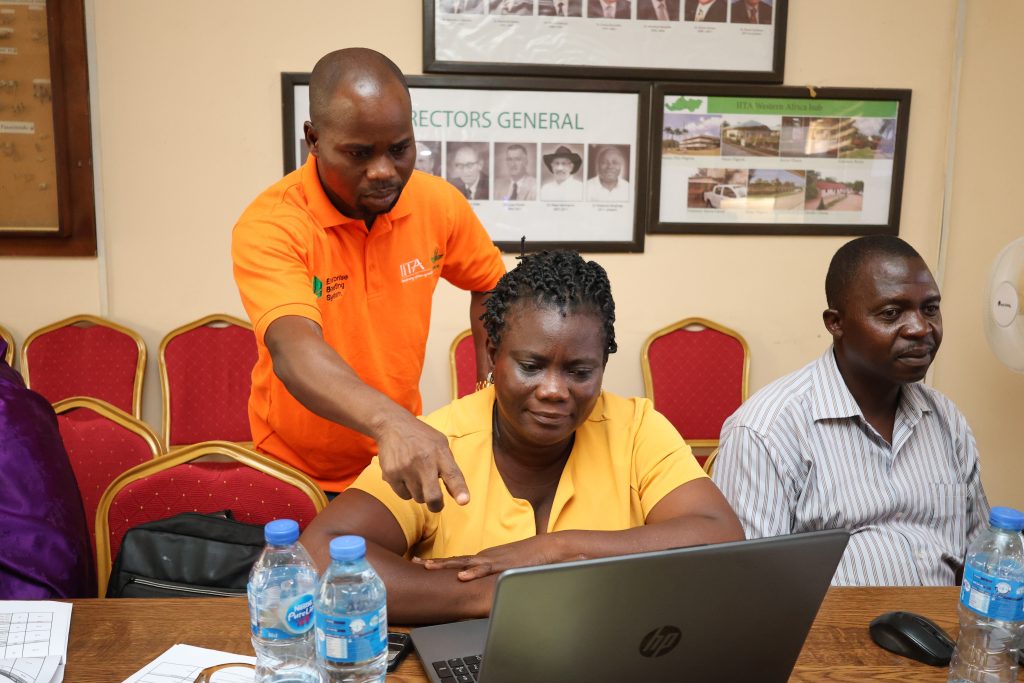 Simon Imoro, IITA data manager, guiding a trainee during the EBS training for cowpea breeding in Kano, Nigeria. Credit: IITA 