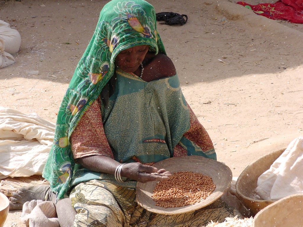 Woman winnowing cowpea seed. Credit: IITA. 