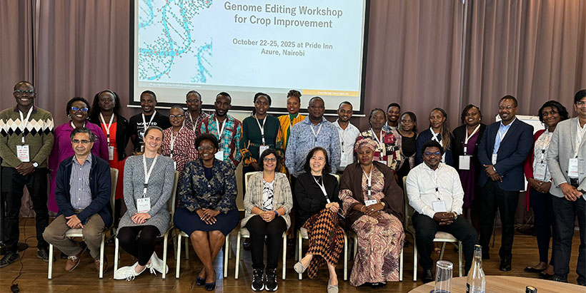 Workshop participants during the stakeholder engagement and communications training.