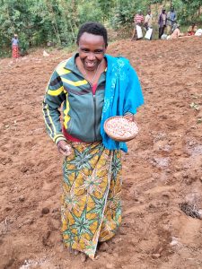 Triphonie initially thought the 100-gram pack of bazooka hybrid maize seeds was a joke. But she couldn’t believe her eyes after the harvest—the yield had increased significantly. She went to an agro-dealer and bought more seeds (eight kilos) to plant on a larger plot for the next season.