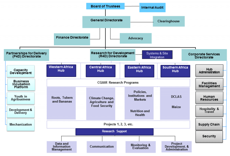 IITA Organogram