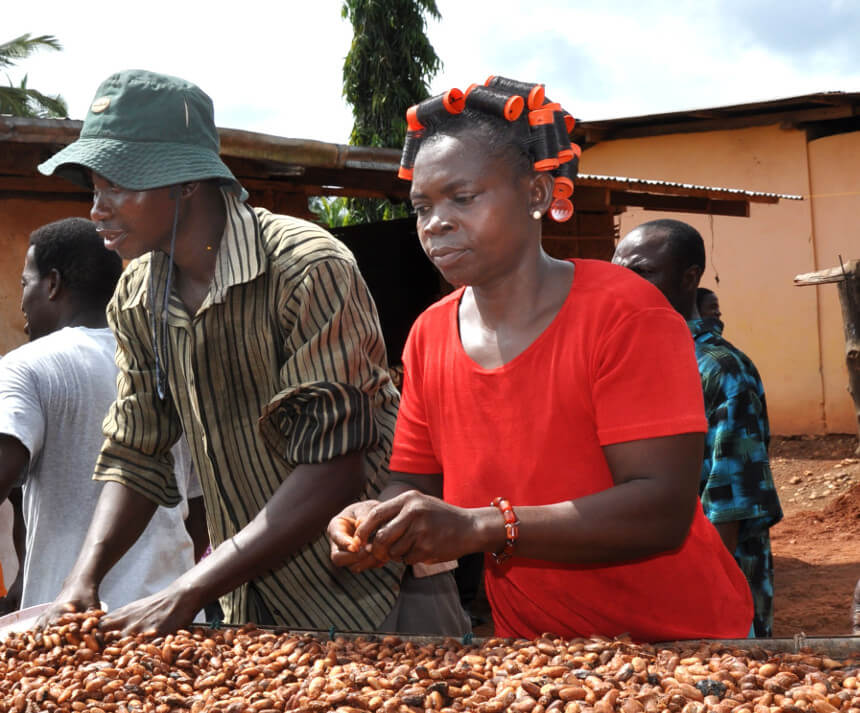 Stakeholders converge in Ibadan, Nigeria to brainstorm on the future of ...