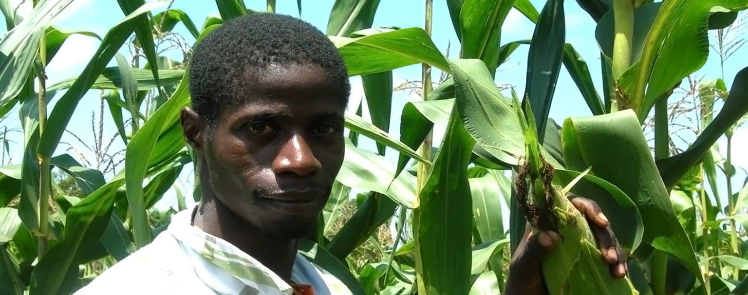 Maize project supports partners in COVID-19 response