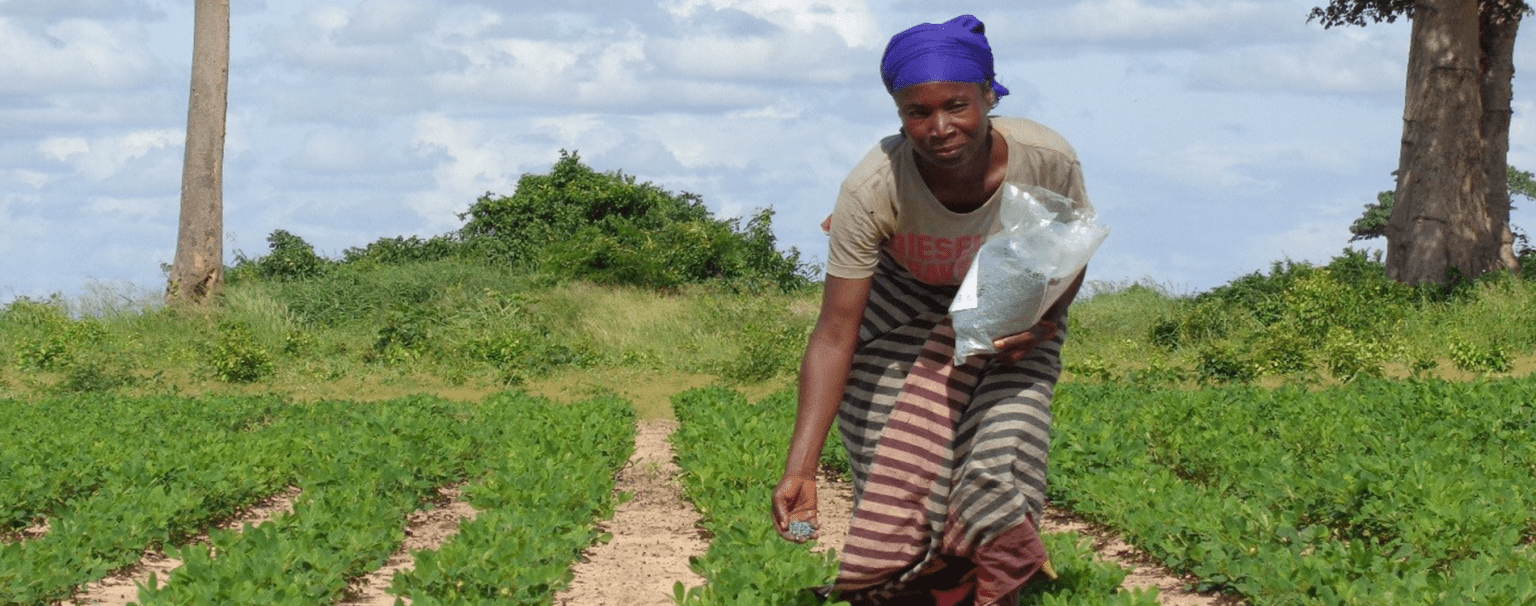 aflatoxin-control-slider-image