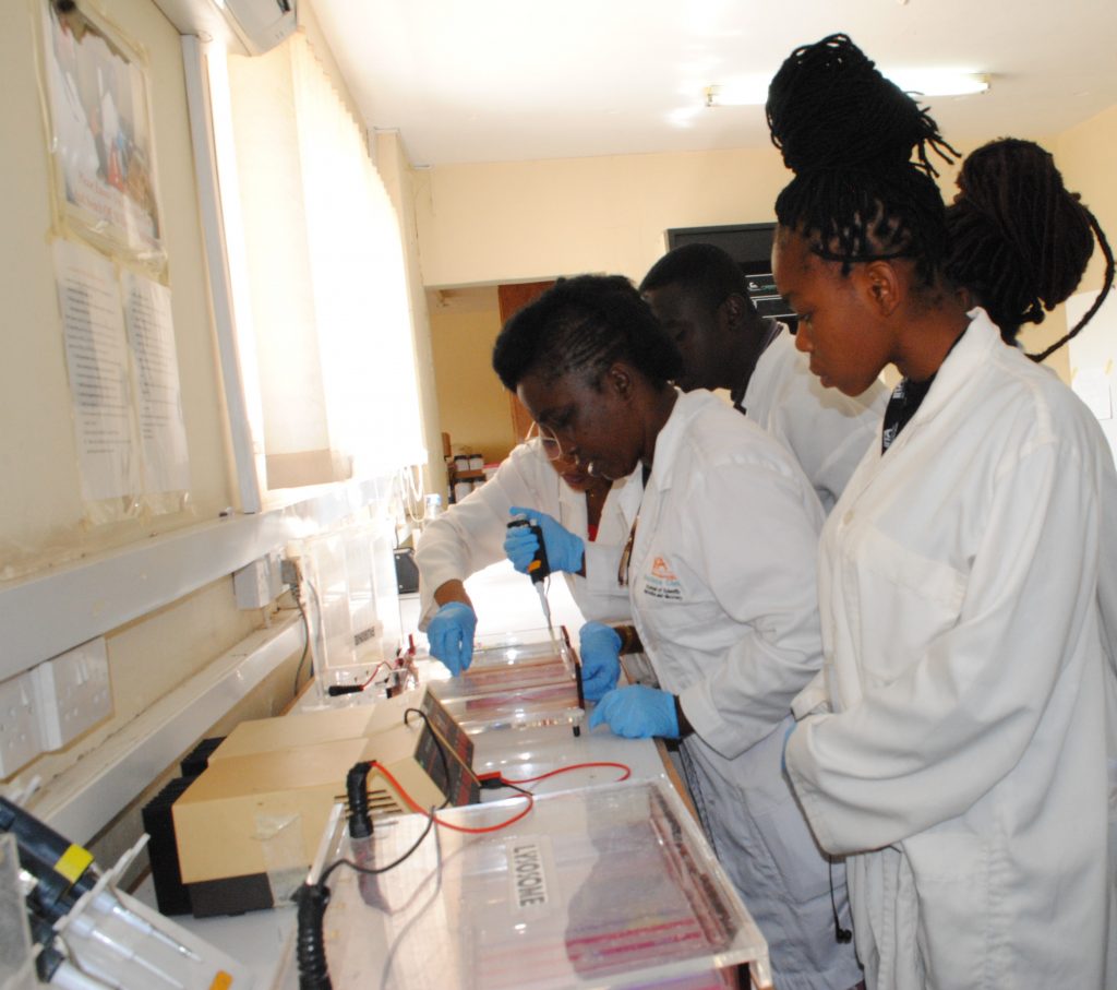 Participants carrying out Agarose Gel