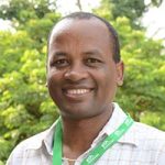 Amele, Asrat - Yam Breeder