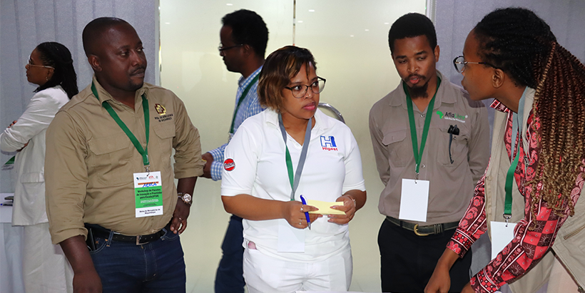Group discussion about the main challenges to Aflasafe promotion in Mozambique.