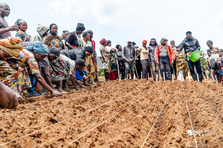 Women farmers learning improved agronomic practices during a field demonstration.
