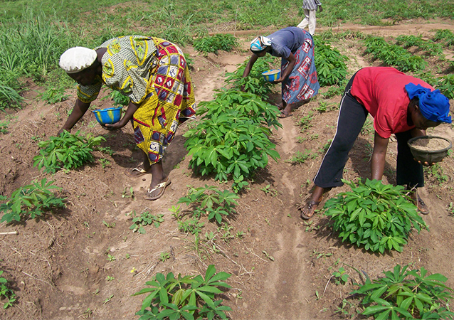 Expert Advisories for Policy Development to Deliver Improved Fertilizer and Soil Health Management Strategies at Scale