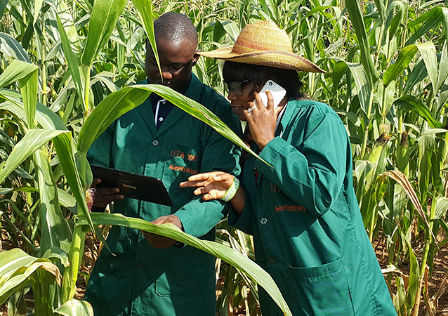 Projet dEntreprenariat des Jeunes dans l’Agriculture et l’Agro-business