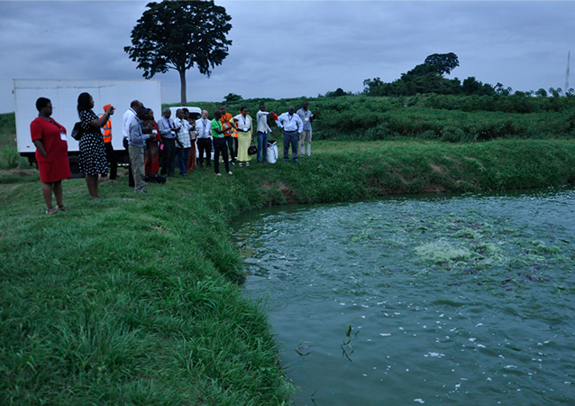 Technologies for African Agricultural Transformation Phase II (TAAT II): Fish Compact