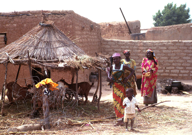 Projet de Transformation de l’ Agriculture en Repuhlique Democratique du Congo dans Ie cadre du Programme de Developpement Local des 145 territoires (PDL-145T), Premiere annee de Demarrage