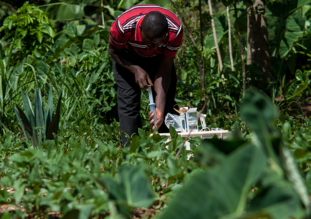 AgVACS: A climate-smart agronomy vision for adapted crops and soils
