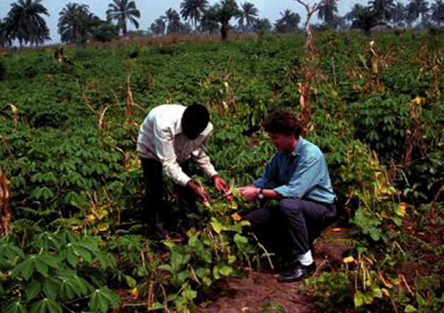 Driving agroecological transitions in the humid tropics of Central and Eastern Africa through traNsdisciplinary Agroecology Living Labs (CANALLS)