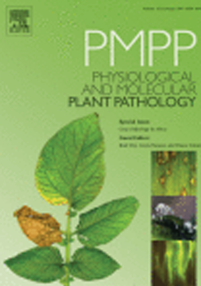 A method for generating virus-free cassava plants