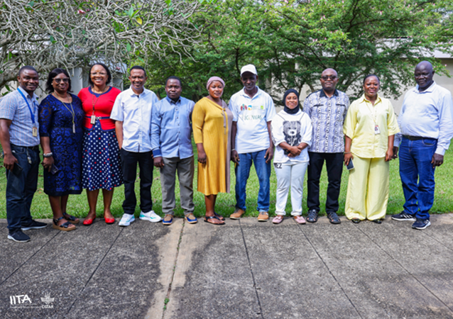 Maize variety transforming nutrition, health, and livelihoods in the Gambia