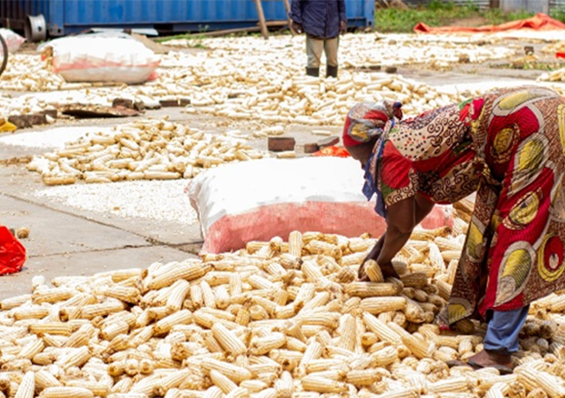 The quiet revolution reshaping African agriculture