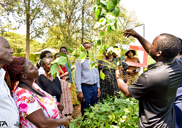 Unlocking soybean potential with TAAT: A field day of innovative production technologies