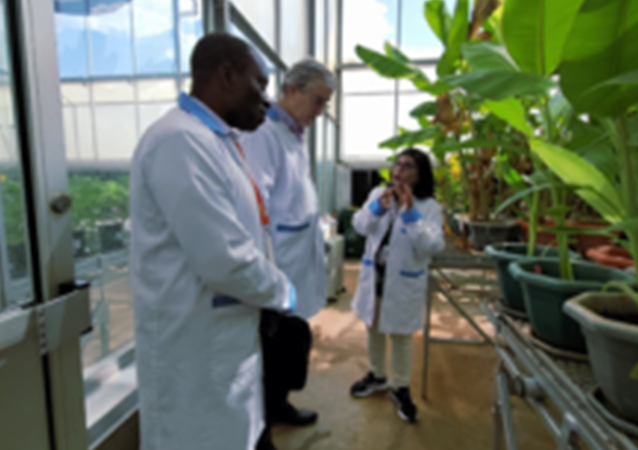 Gates Foundation visit affirms IITA’s readiness for BioCap training