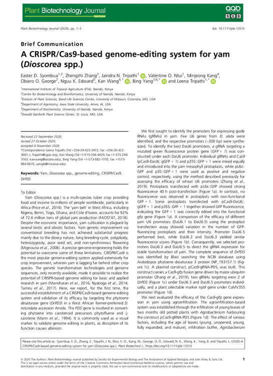 A CRISPR/Cas9-based genome-editing system for yam (Dioscorea spp.)