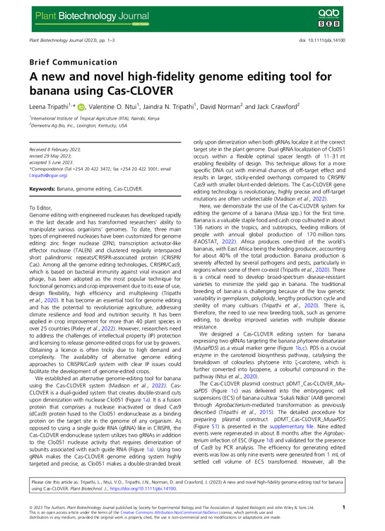 A new and novel high-fidelity genome editing tool for banana using Cas-CLOVER