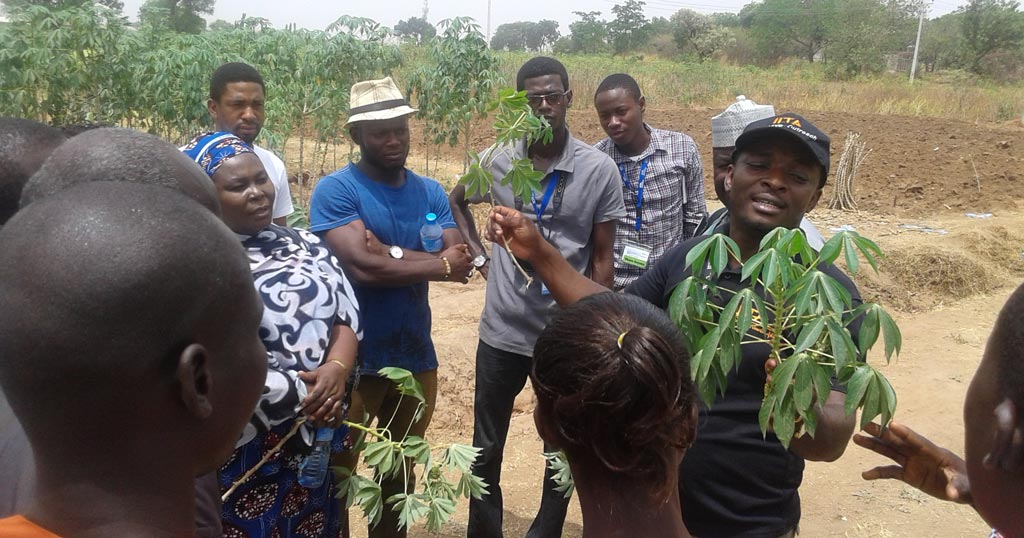 Picture of youth being trained on seed production.