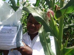 Picture of Woman with Aflasafe KE01tm bio control product.