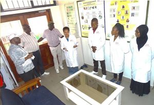 Picture of Charity Mutegi gives an update on ongoing work on aflatoxin management in Kenya  and East Africa