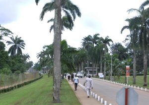Picture of the entrance to IITA in 2016.