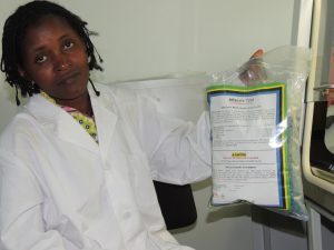 Picture of IITA researcher holding a bag of AflasafeTZ