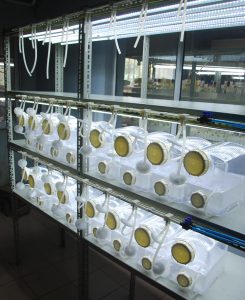 Picture of newly established SETIS bioreactor system at NACGRAB