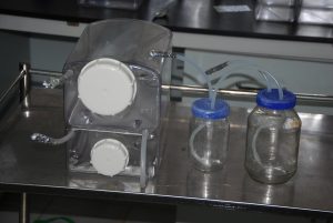 Pictures of new SETIS containers vs Bama bottles