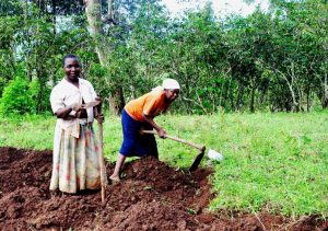 Picture of A learning alliance was created recently to support formulation  and implementation of policies that will help smallholder farmers, especially women, to adapt to climate change.