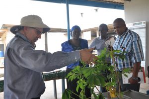 Picture of Peter Kulakow with visitors at Cassava Breeding Unit.