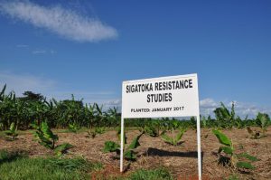Picture of sign for field trials