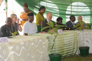 Picture of IITA Management  and dignitaries during the opening program of the Forest Unit Open Day.