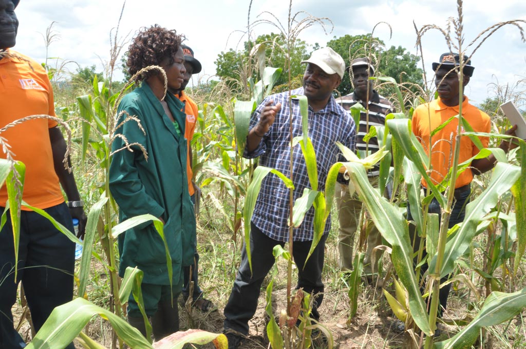 Picture of DG Sanginga motivates IITA Youth Agripreneurs to go into value chain activities in maize.