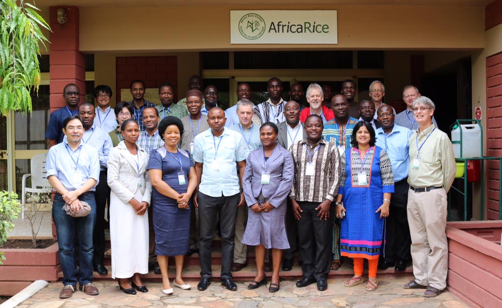 Group photo of the participants of the AfricaYam annual review and planning meeting.