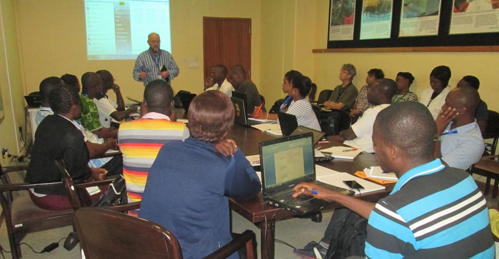 Picture of Participants learn key aspects of phenotyping for yam diseases.