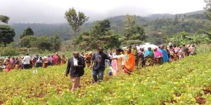 Farmers during a farmers’ field day in Tanzania organized by N2Africa to demonstrate technologies that improve legume production.