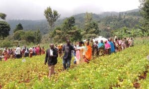 Picture at an N2Africa farmers’ field day in Tanzania that showcases modern legume growing technologies.