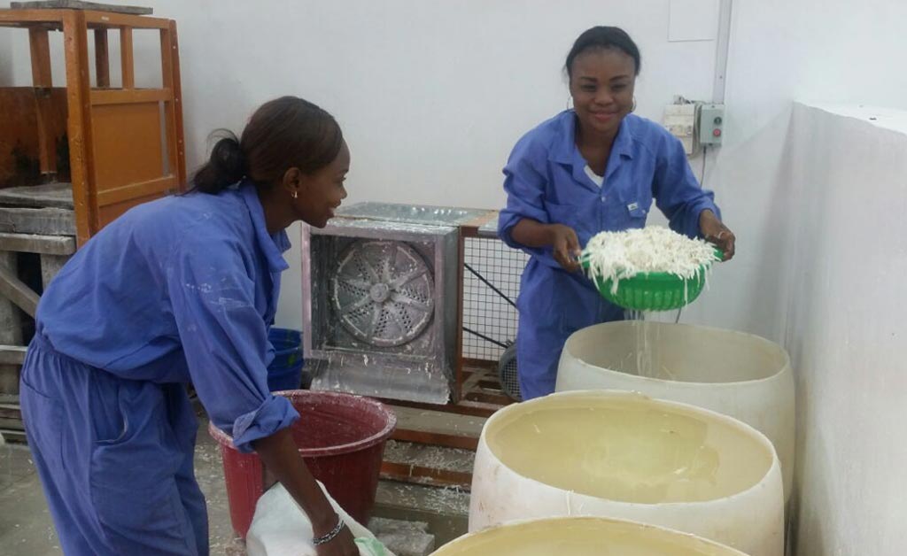Picture of IYA Kinshasa delegates processing fresh cassava roots to chips