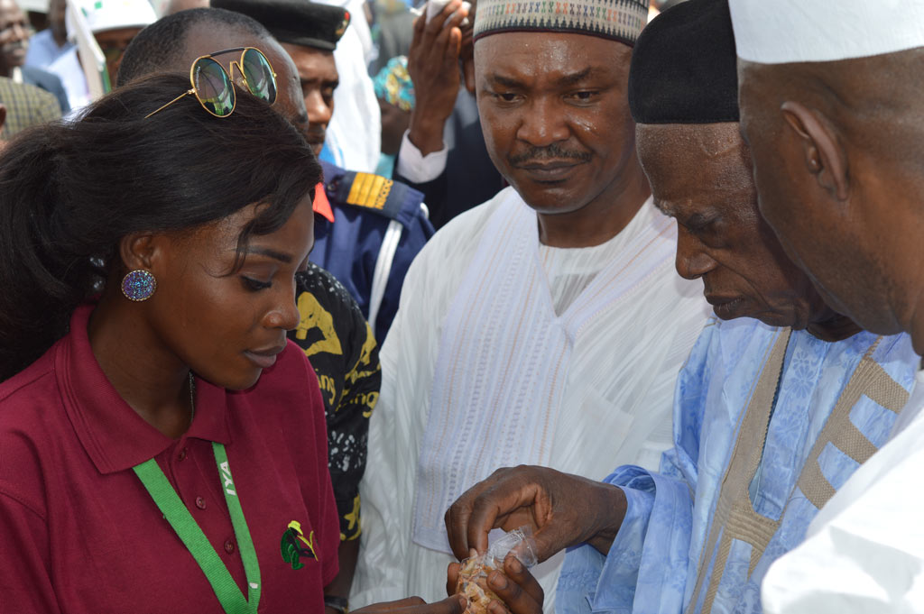 Picture L-R Ms. Bimpe Ayobami, IYA intern, Deputy Governor of Nasarawa State, HE, Silas Ali Agara, and Senator Abdullahi Adamu, Chairman, Senate Committee on Agriculture.