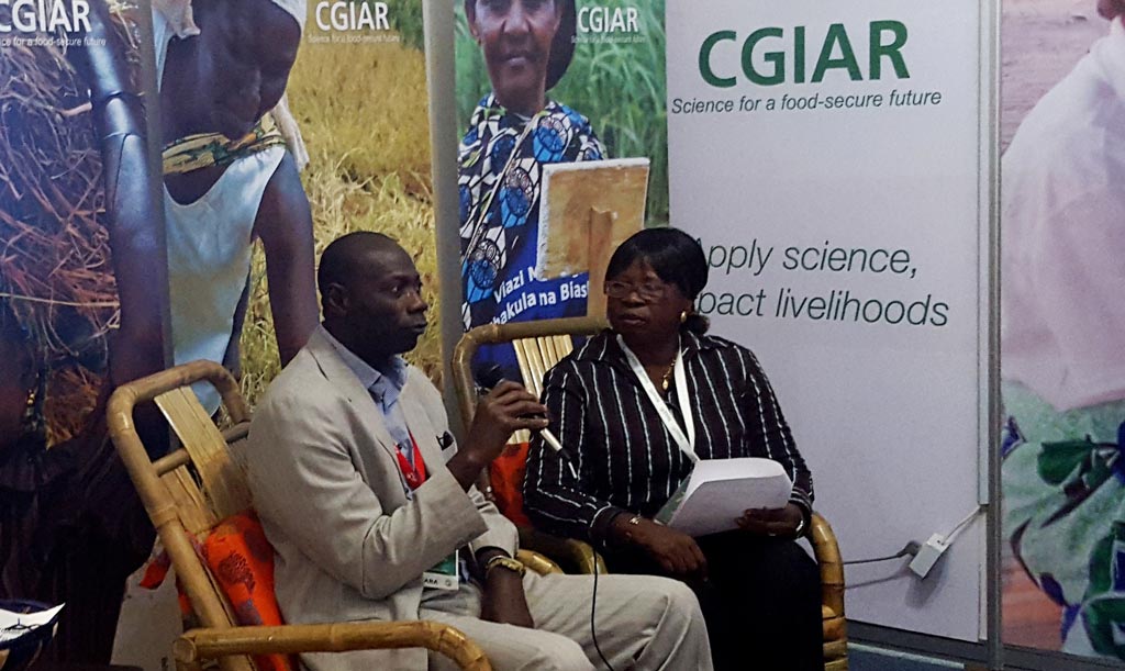 Picture of SARD-SC Communication Officer Interviewing a guest.