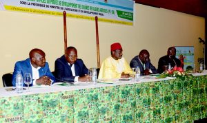 Picture of Kwame Akuffo-Akoto (rightmost), DDG Special Duties, with top Cameroon government officials during the launch.