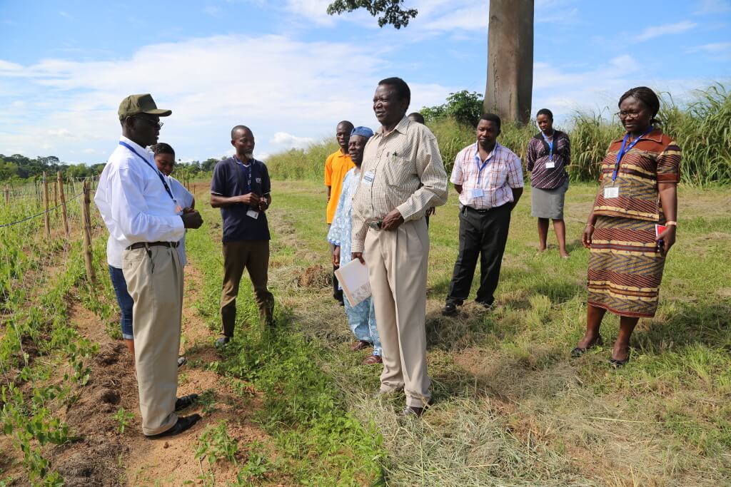 Norbert Maroya (left) explaining project field trials to new TAC members as well as IITA YIIFSWA project team.