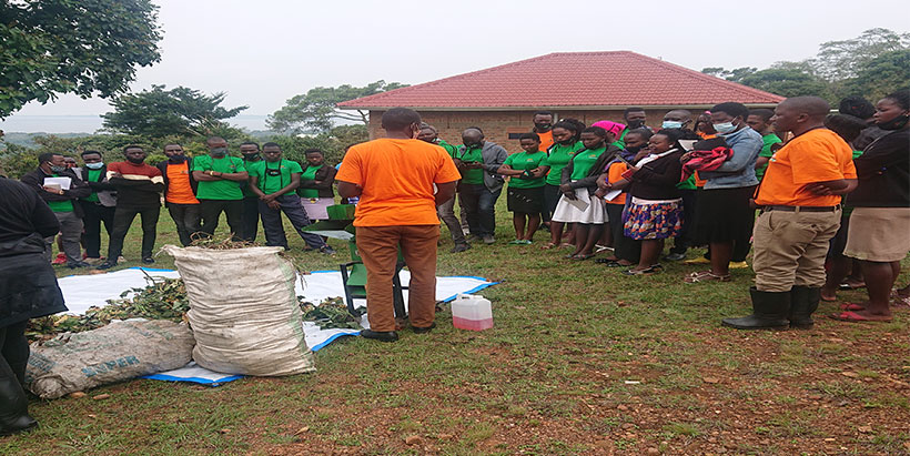 Field activities during training in Kalangala.