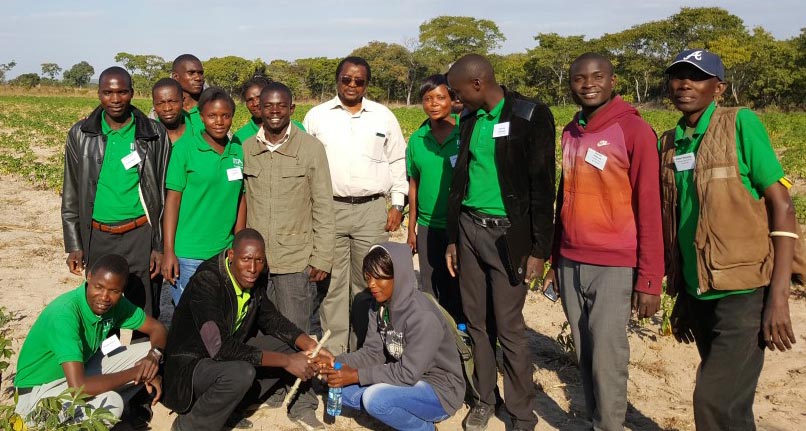 Picture of ZIYA youth trainees at a cassava seed multiplication site in Kaoma.